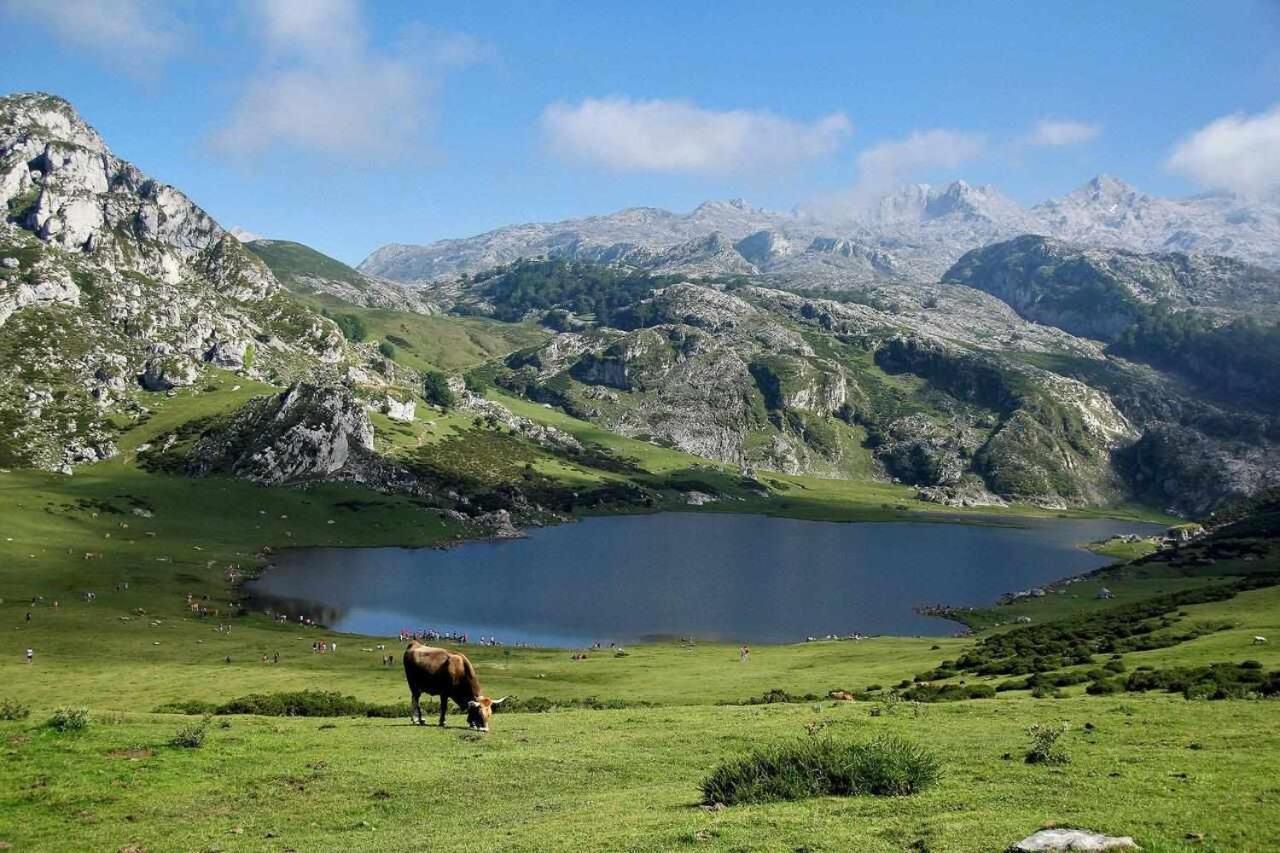 Casa Rural La Carrozal Senda Del Oso Orelleiru Екстер'єр фото