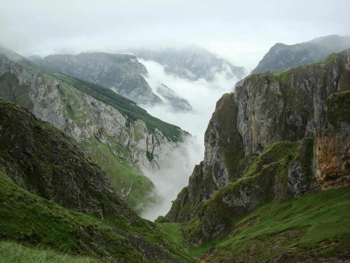 Casa Rural La Carrozal Senda Del Oso Orelleiru Екстер'єр фото