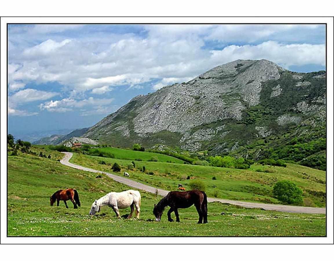 Casa Rural La Carrozal Senda Del Oso Orelleiru Екстер'єр фото