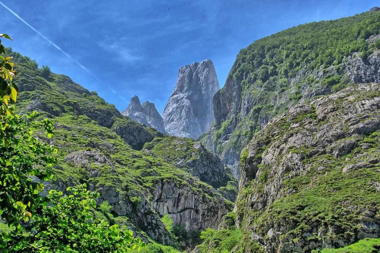 Casa Rural La Carrozal Senda Del Oso Orelleiru Екстер'єр фото